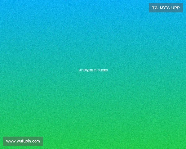 2018年gt赛事 2018赛车比赛