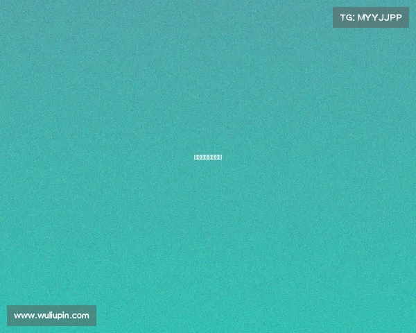 乒乓白金站有几站